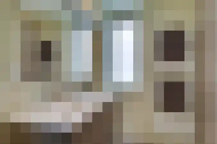 Edendreef 16 Ede thumbnail 33