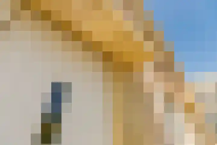 Edendreef 16 Ede thumbnail 34