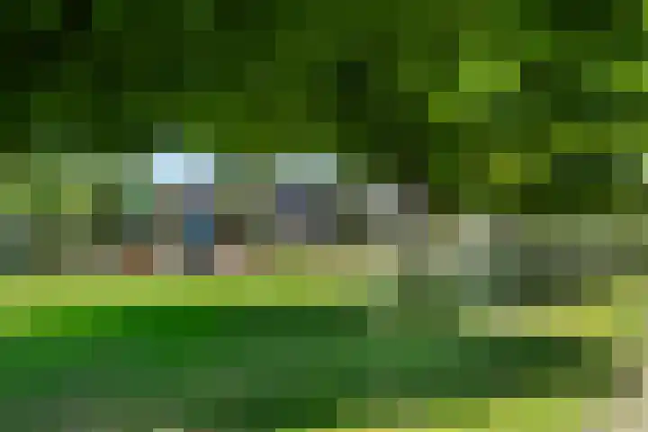 Edendreef 16 Ede thumbnail 6