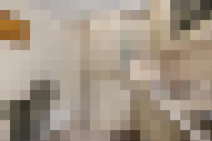 Edendreef 73 Ede thumbnail 10