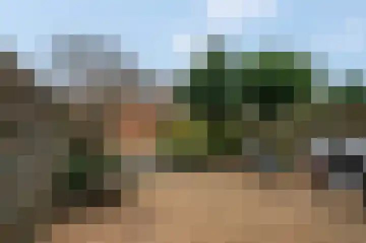 Edendreef 73 Ede thumbnail 29