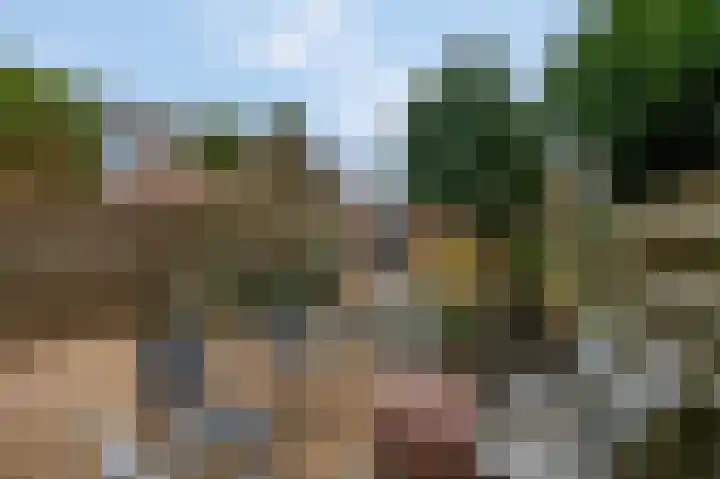 Edendreef 73 Ede thumbnail 30