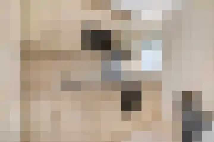 Edendreef 73 Ede thumbnail 8