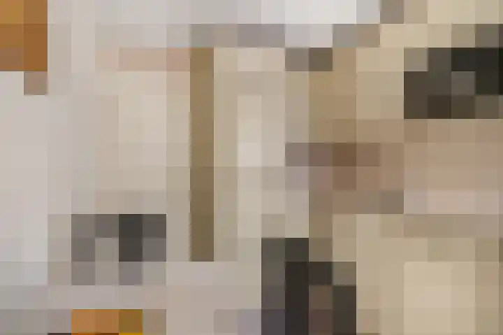 Edendreef 73 Ede thumbnail 9