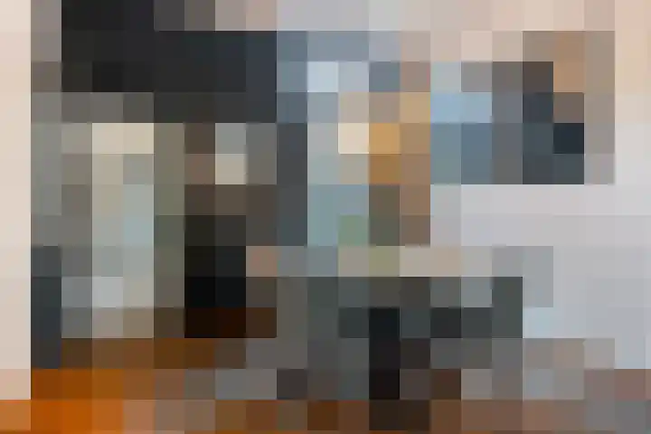 Edenstraat 70 Eindhoven thumbnail 12
