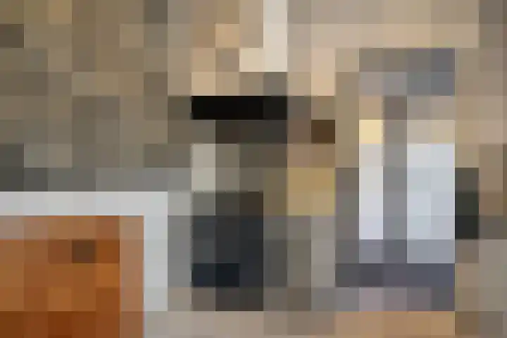 Edenstraat 70 Eindhoven thumbnail 17