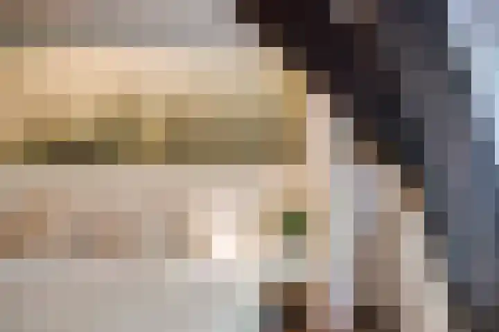 Edenstraat 70 Eindhoven thumbnail 24