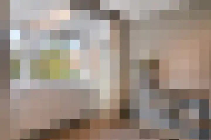 Edenstraat 70 Eindhoven thumbnail 27