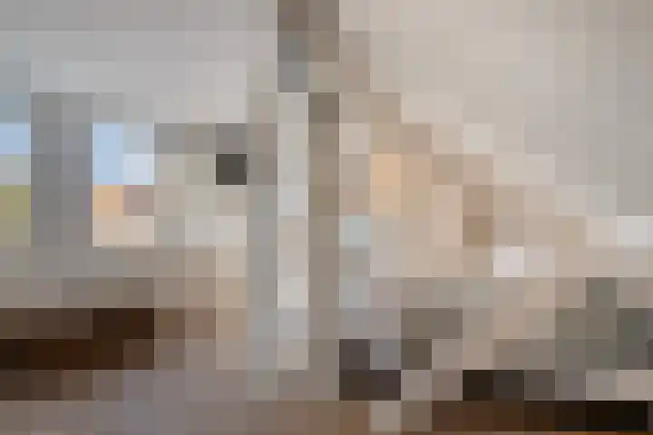 Edenstraat 70 Eindhoven thumbnail 30