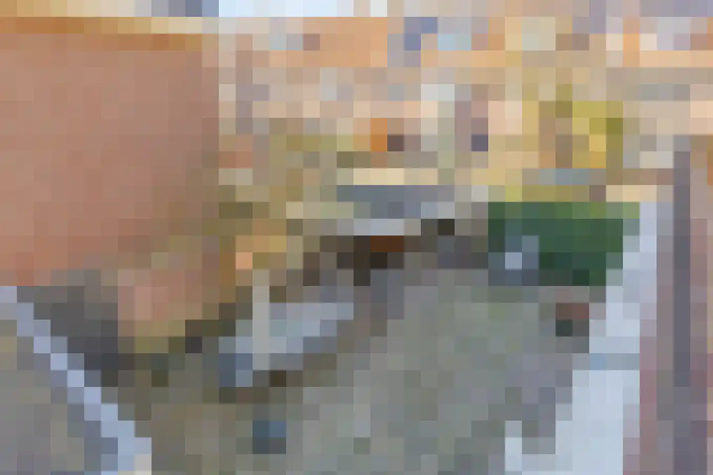 Edenstraat 90 Eindhoven thumbnail 34