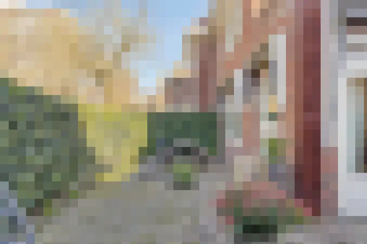 Edenstraat 90 Eindhoven thumbnail 52