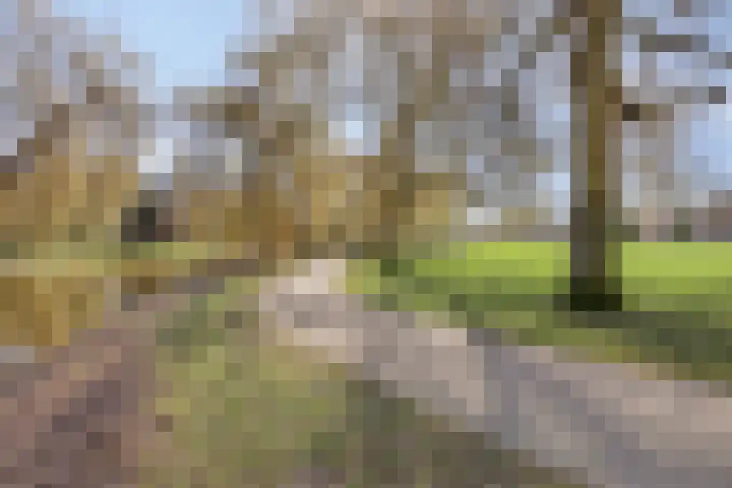 Edenstraat 90 Eindhoven thumbnail 60