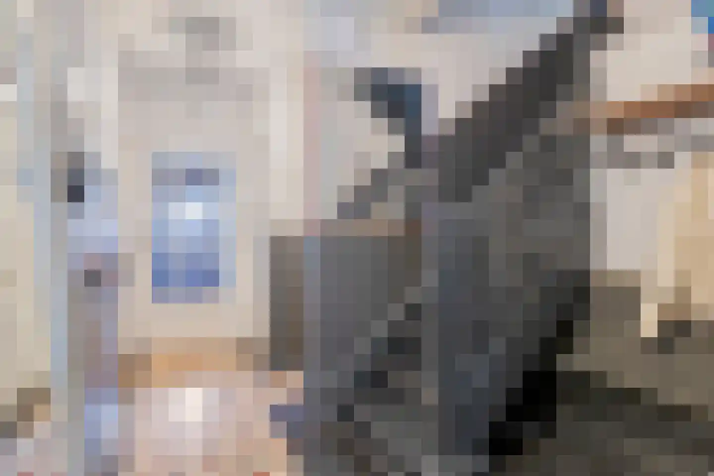 Edenstraat 90 Eindhoven thumbnail 7