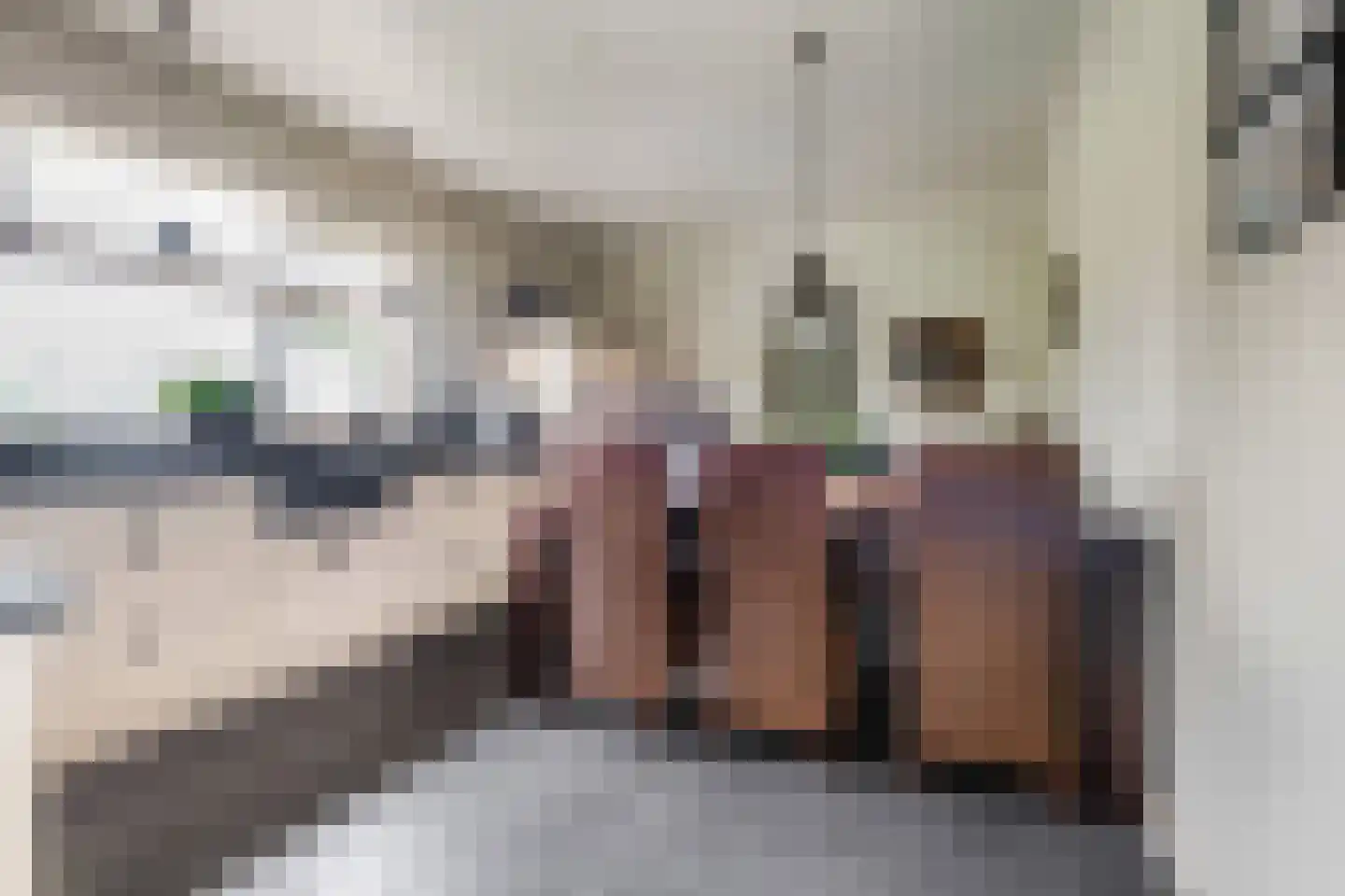 Edeseweg 34 Lunteren thumbnail 12