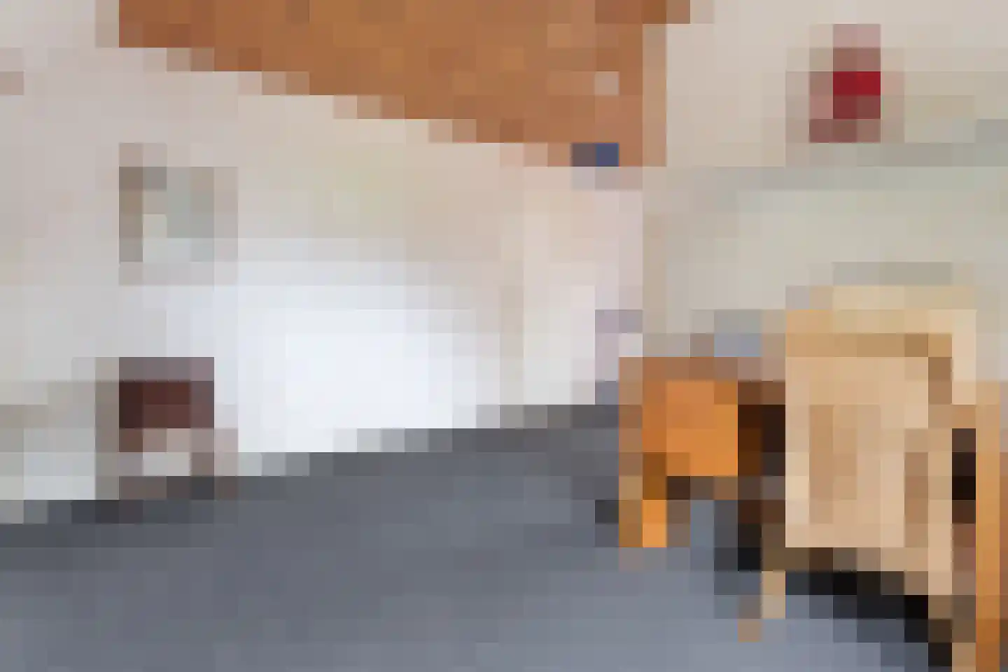 Edeseweg 34 Lunteren thumbnail 24