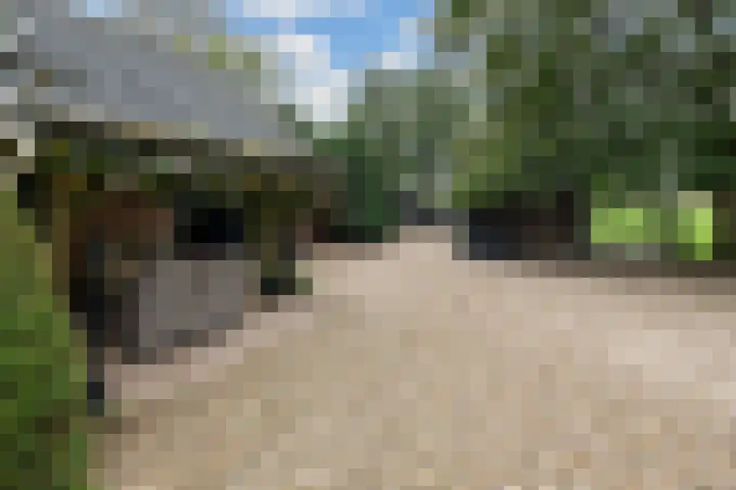 Edeseweg 34 Lunteren thumbnail 35