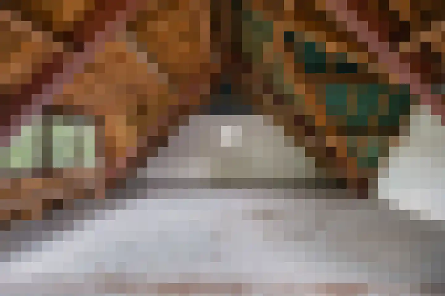 Edeseweg 4 Otterlo thumbnail 40