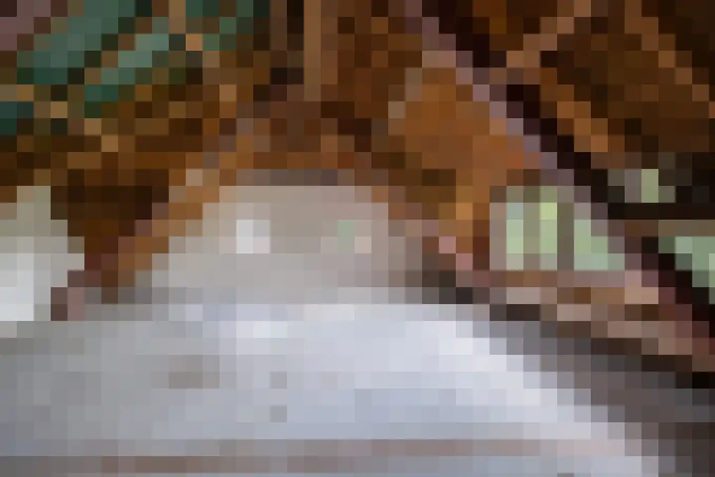 Edeseweg 4 Otterlo thumbnail 41