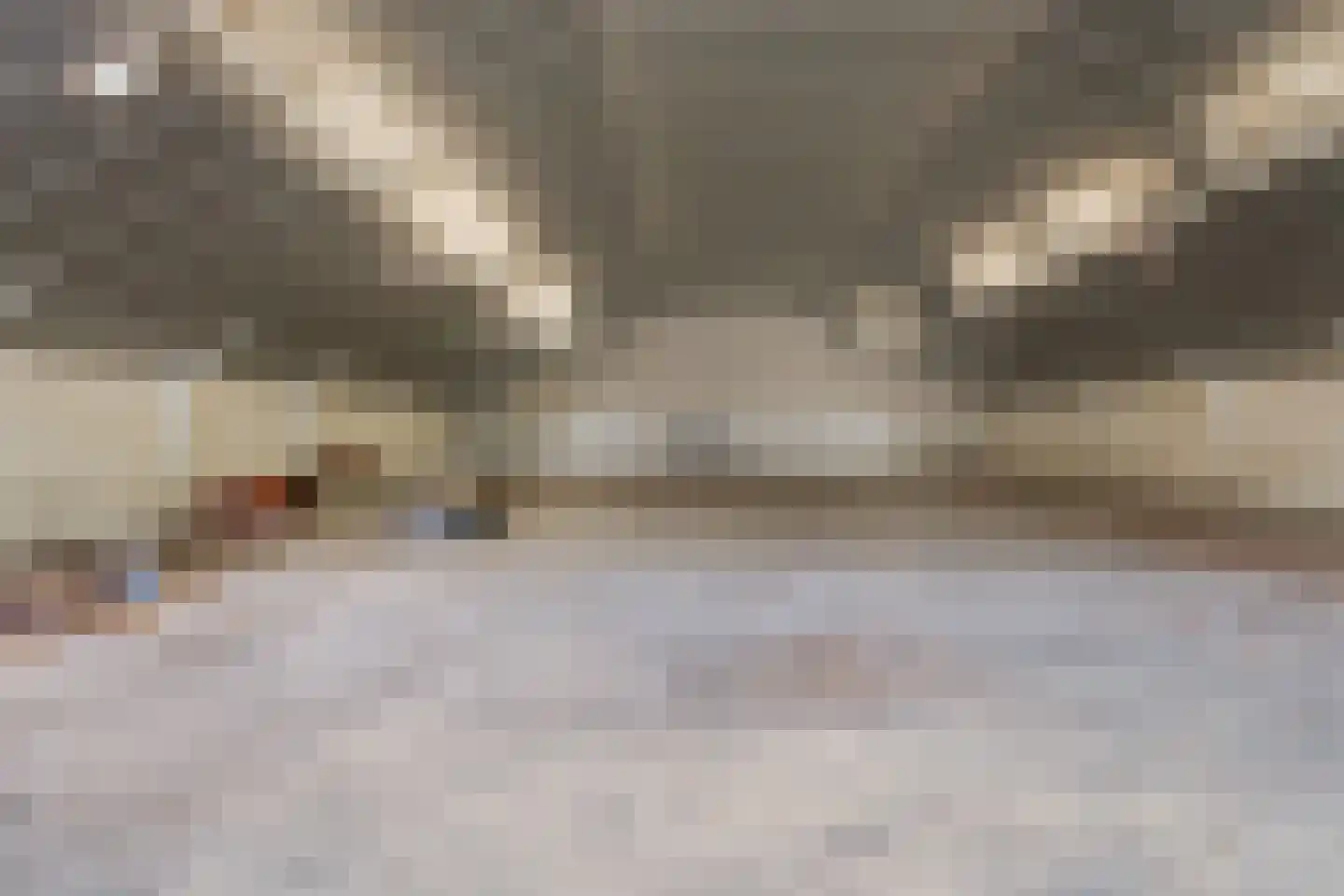 Edeseweg 4 Otterlo thumbnail 42