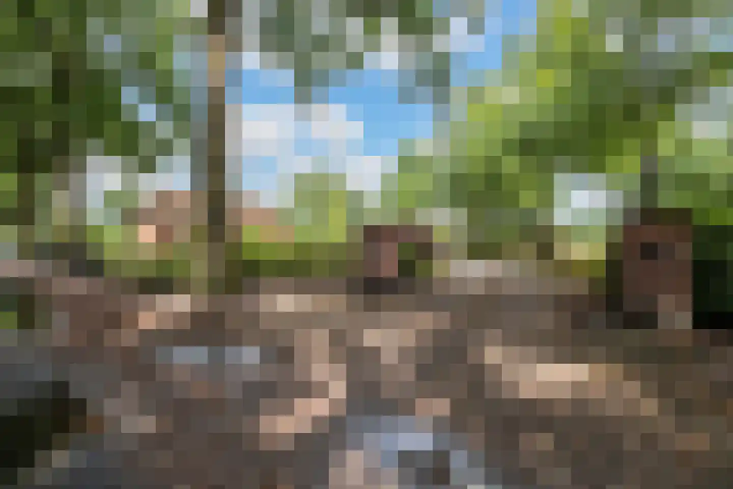 Edeseweg 4 Otterlo thumbnail 57