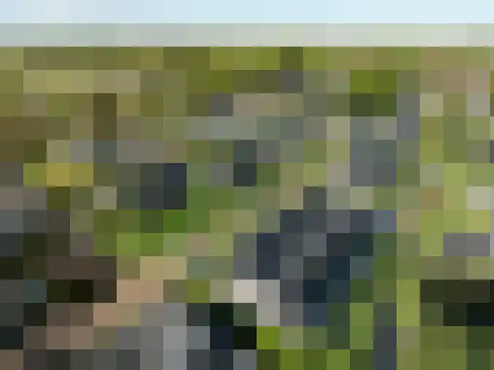 Edeseweg 5 Lunteren thumbnail 6