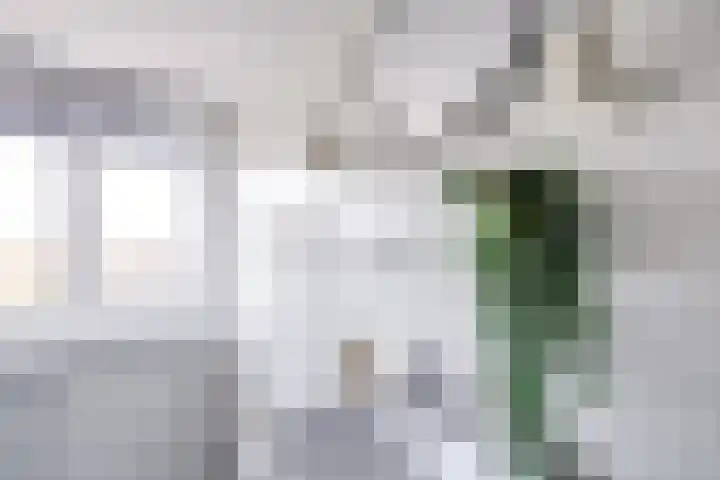 Edisonstraat 68 Utrecht thumbnail 31