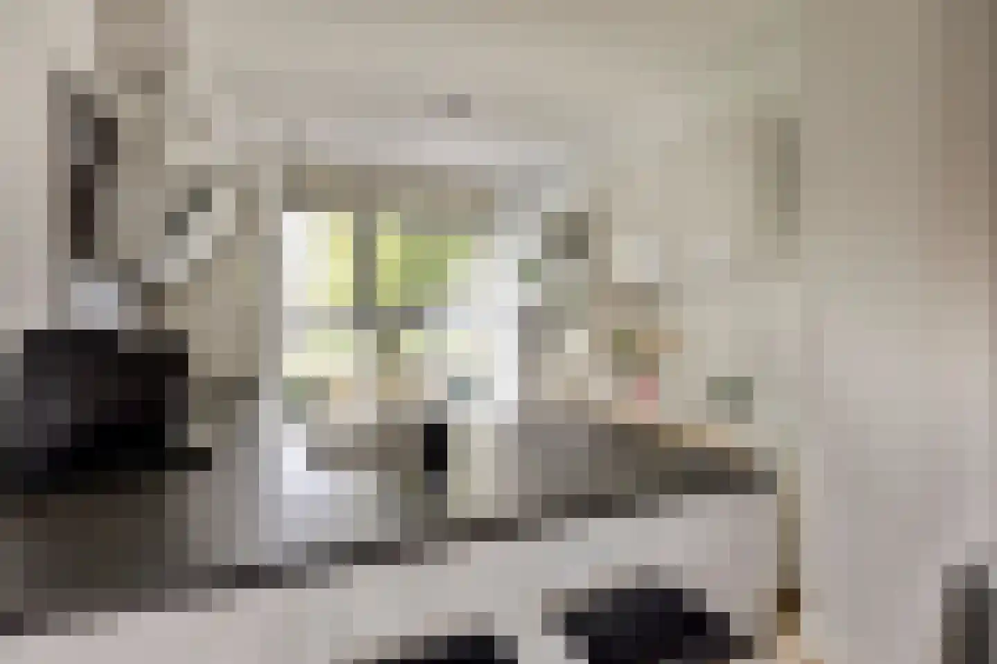 Educalaan 1 A Dronten thumbnail 16