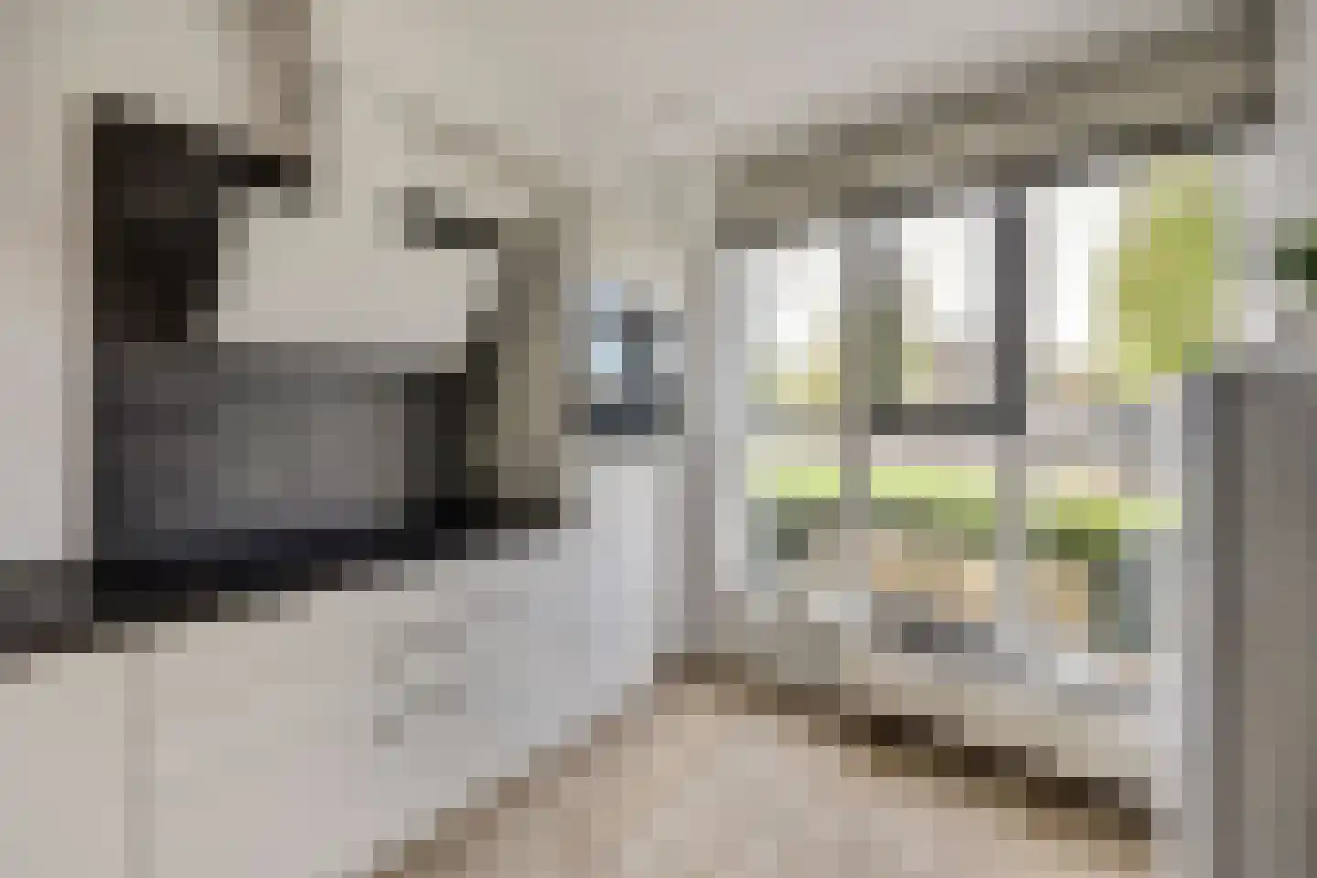 Educalaan 1 A Dronten thumbnail 17