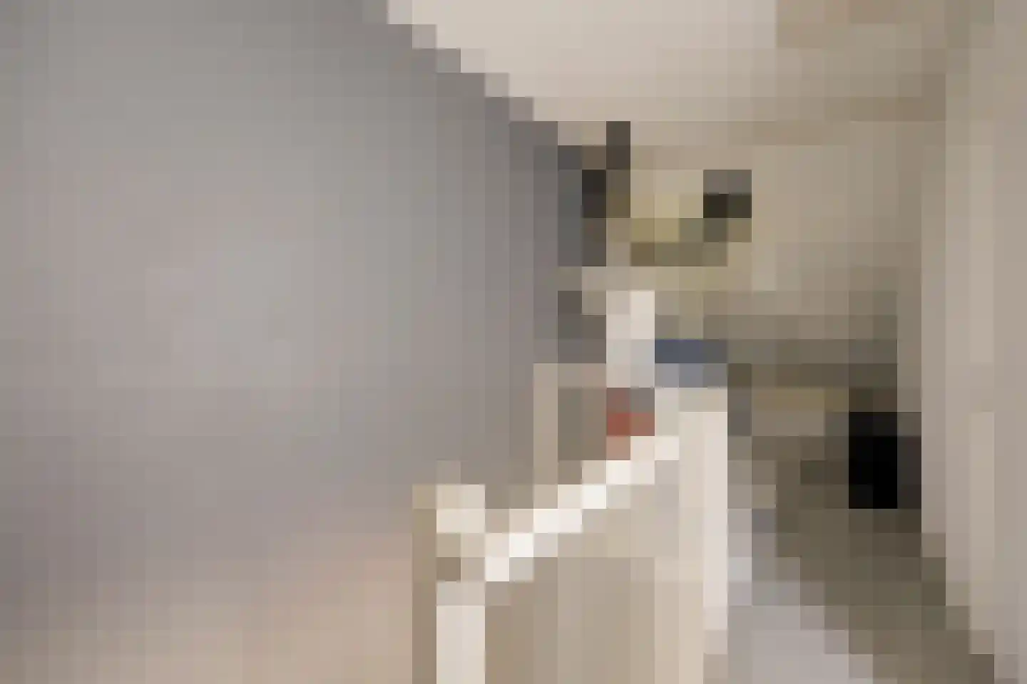 Educalaan 1 A Dronten thumbnail 30