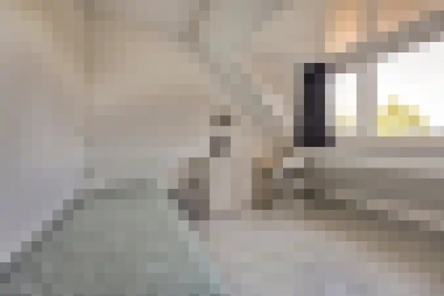 Educalaan 1 A Dronten thumbnail 31