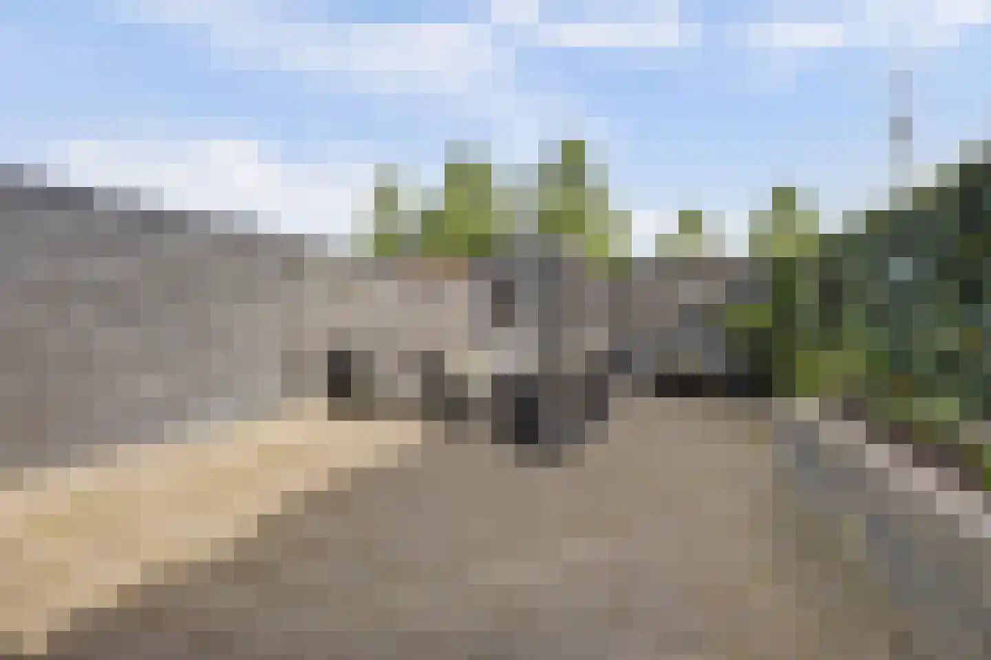 Educalaan 1 A Dronten thumbnail 45