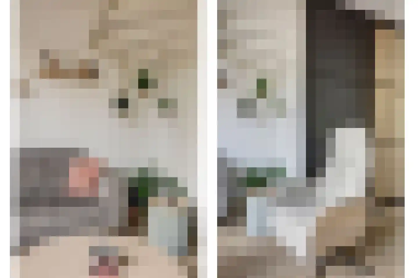 Educalaan 1 A Dronten thumbnail 8