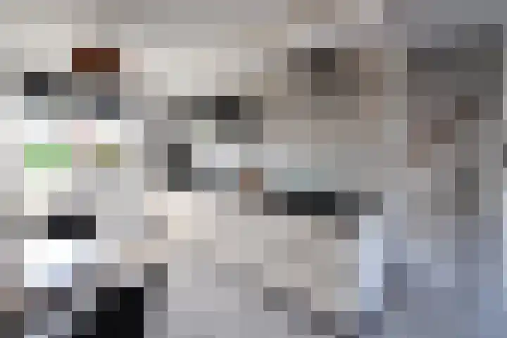 Educalaan 5 A Dronten thumbnail 15