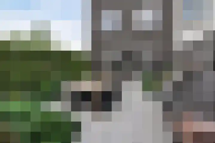 Educalaan 5 A Dronten thumbnail 21