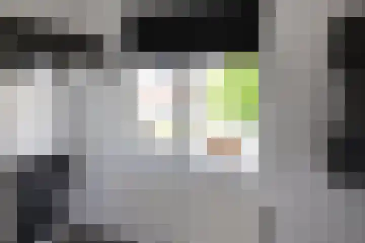 Educalaan 5 A Dronten thumbnail 36