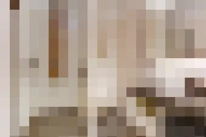 Educalaan 5 A Dronten thumbnail 39