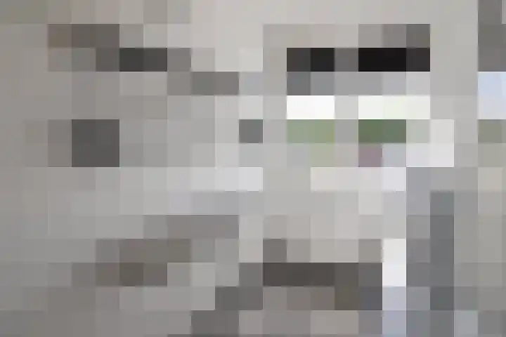 Educalaan 5 A Dronten thumbnail 48
