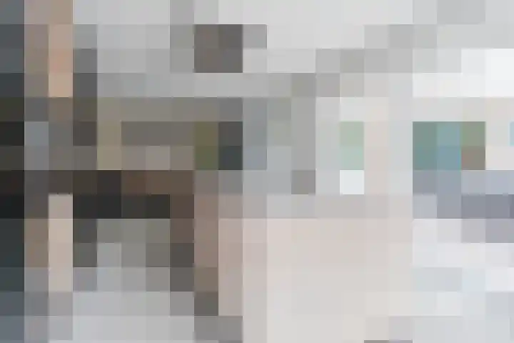 Eeckelbosstraat 28 Goirle thumbnail 11