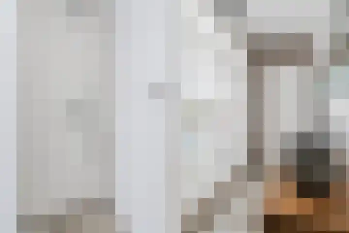 Eeckelbosstraat 28 Goirle thumbnail 38