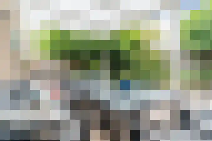 Eeckelbosstraat 28 Goirle thumbnail 41