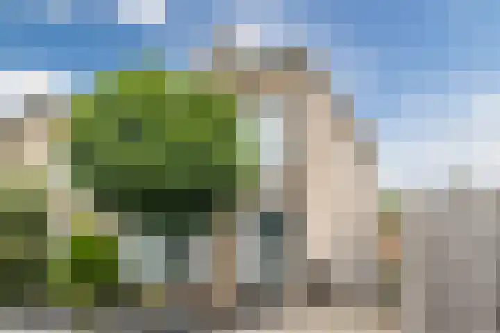 Eeckelbosstraat 28 Goirle thumbnail 58