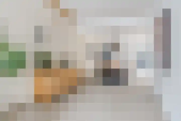 Eeckelbosstraat 28 Goirle thumbnail 6