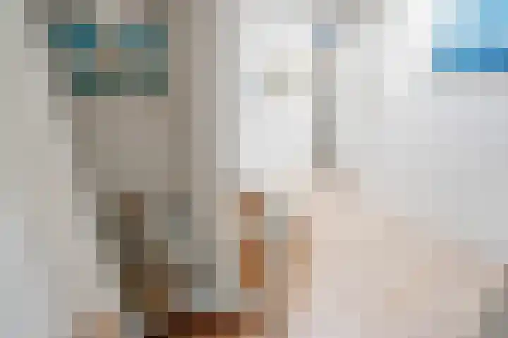 Eegracht 33 IJlst thumbnail 60
