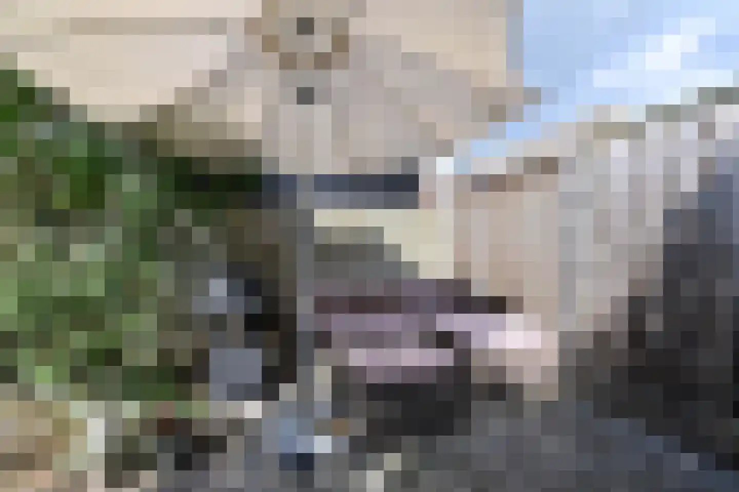 Eek 6 Huizen thumbnail 14