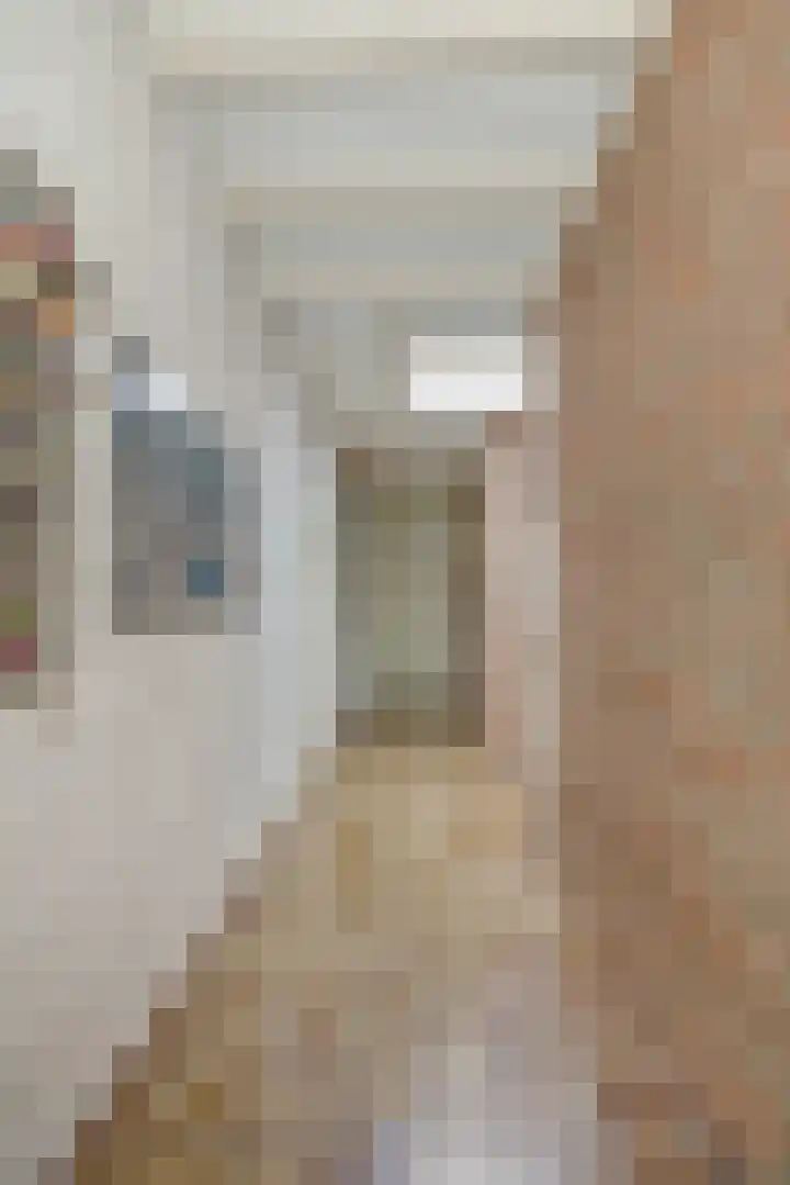 Eekhof 20 Deurne thumbnail 10