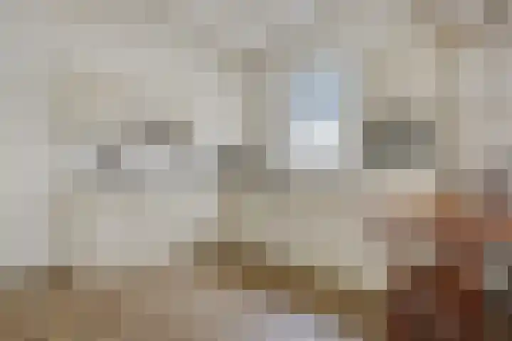 Eekhof 20 Deurne thumbnail 16