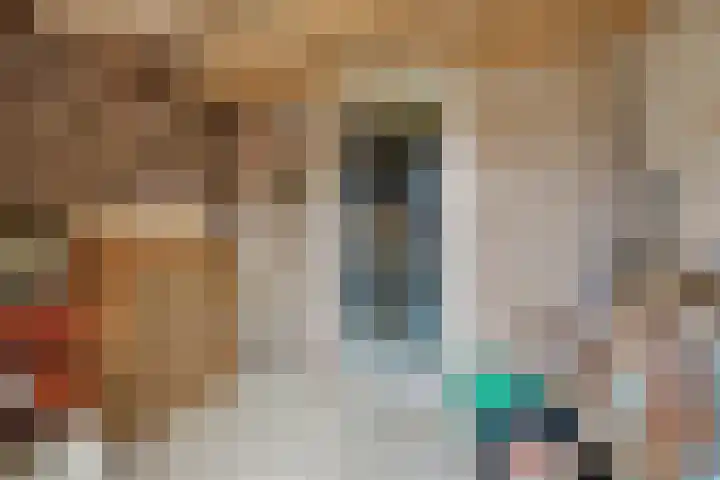 Eekhof 20 Deurne thumbnail 30