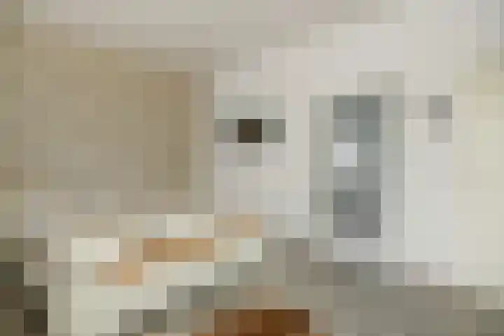 Eekhof 20 Deurne thumbnail 4