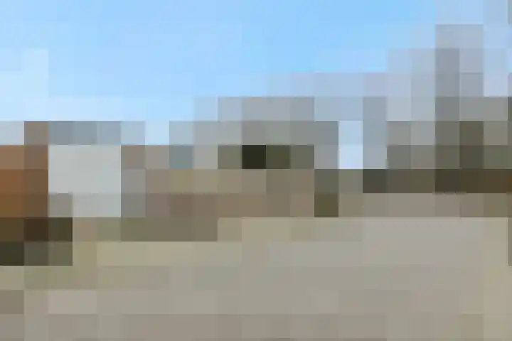 Eekhof 20 Deurne thumbnail 40