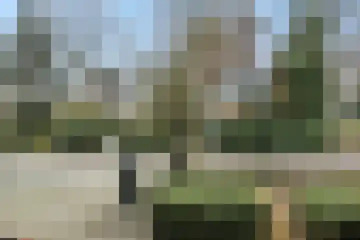 Eekhof 20 Deurne thumbnail 42